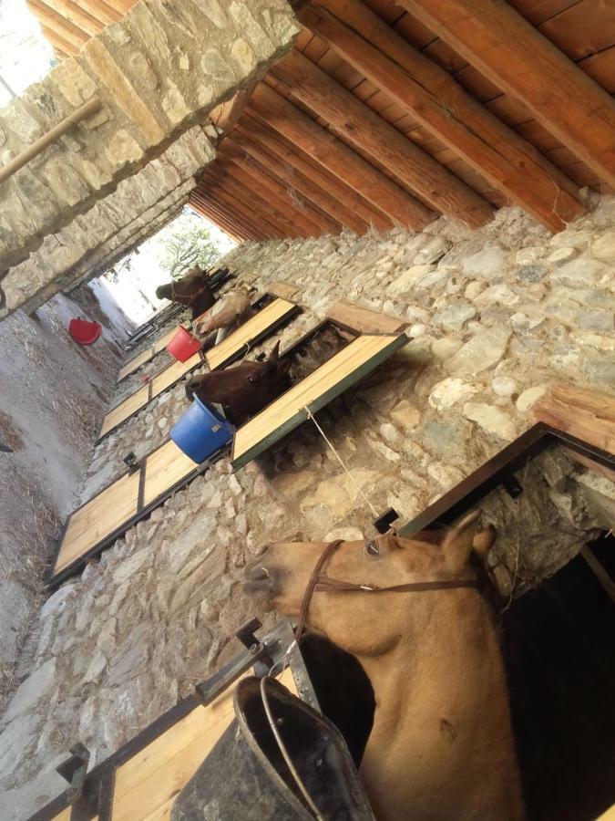 Agriturismo Al Pra Di Muriet スーザ エクステリア 写真